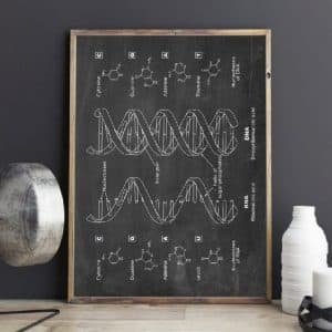 Affiche Scientifique