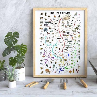 Affiche Scientifique Biologie - Poster Scientifique - Science Labs