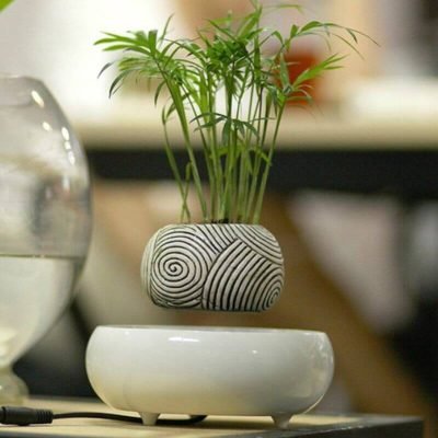 Plante Magnétique - Pot de Fleur en Lévitation - Science Labs