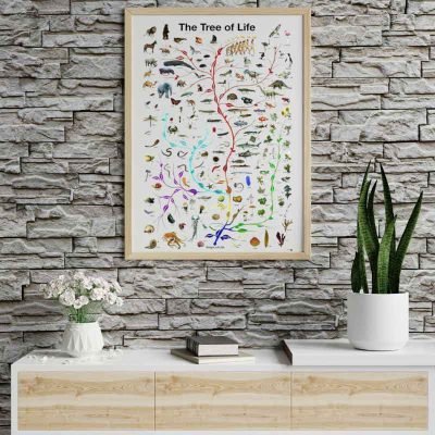 Poster évolution Biologie - Poster Scientifique - Science Labs