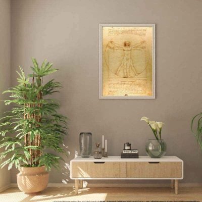 Poster l'Homme de Vitruve - Poster Scientifique - Science Labs