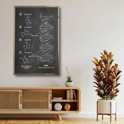DNA Poster