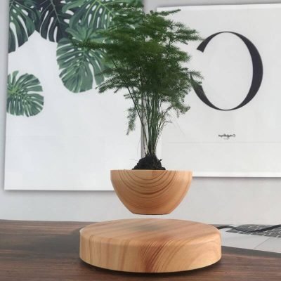 Pot de Plante en Lévitation - Pot de Fleur en Lévitation - Science Labs