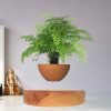 Zen Levitating Plant Pot