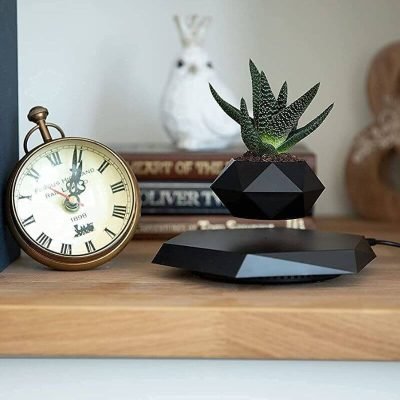 Vase magnet - Pot de Fleur en Lévitation - Science Labs