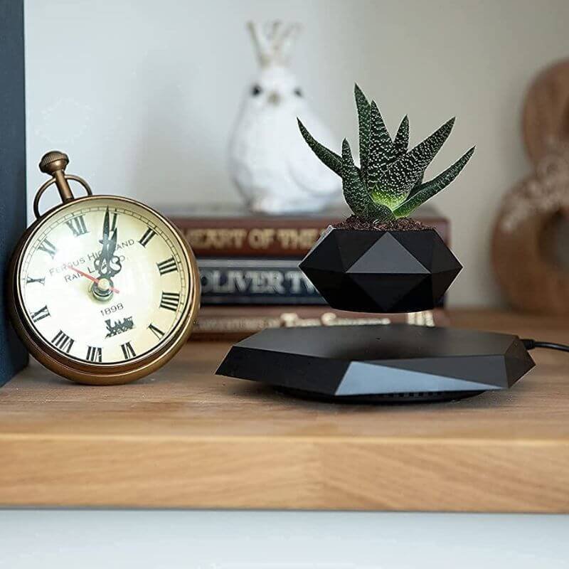 Vase magnet - Pot de Fleur en Lévitation - Science Labs