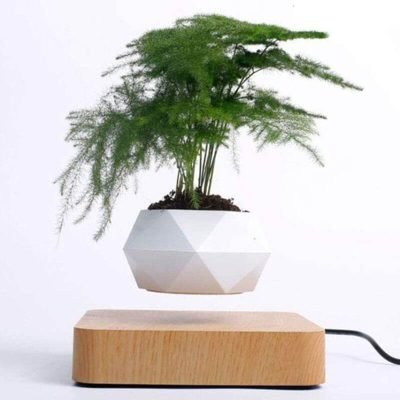 Vase qui lévite - Pot de Fleur en Lévitation - Science Labs