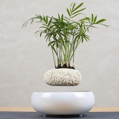 Vase Suspension Magnétique - Pot de Fleur en Lévitation - Science Labs