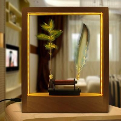 Cadre Slow Motion - lampe anti-gravité - deco scientifique