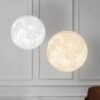 Moon Ceiling Light