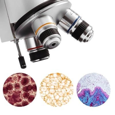 Microscope Débutant - Microscope Enfant - Science Labs