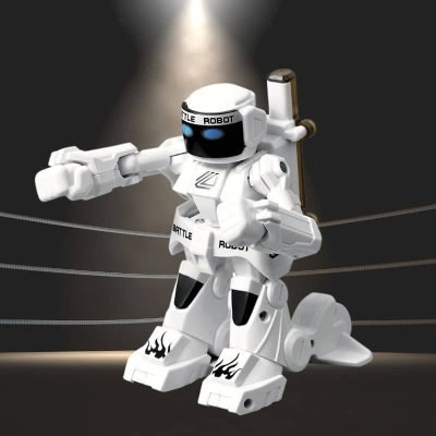 Fighting Robot Toy