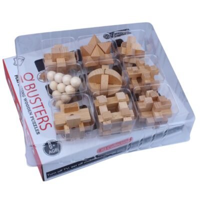 Casse Tête en Bois 9 pièces - jeux scientifique