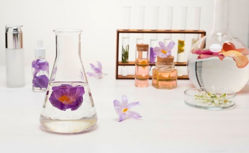 Collection Art de la table Scientifique