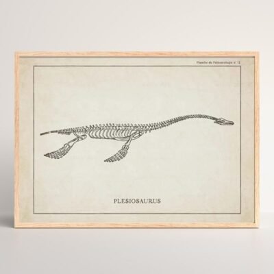 Dinosaur Poster