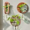 The "Babylone" Hydroponic Gardens (Set of 3)