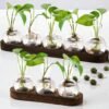 "Linné" Hydroponic Growing Station, Wooden Propagation Bench (Set 2)