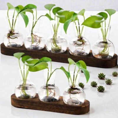 "Linné" Hydroponic Growing Station, Wooden Propagation Bench (Set 2)