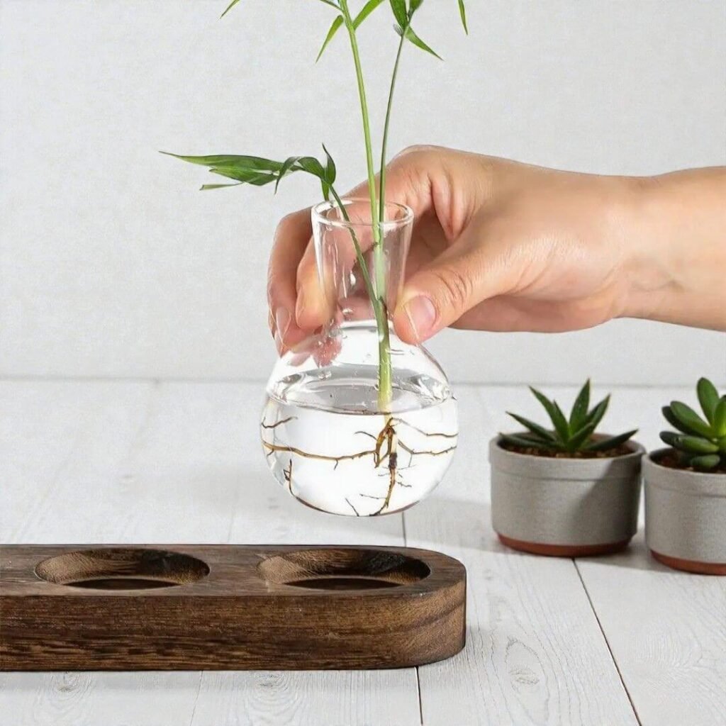 Hydroponic Growing Bench