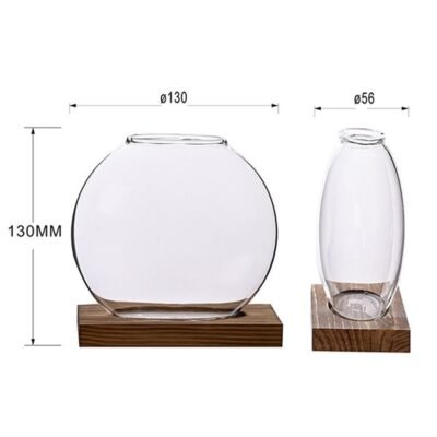 Duo de Vases "Biosphere" – Designer Hydroponic Planters