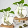 Duo de Vases "Biosphere" – Designer Hydroponic Planters