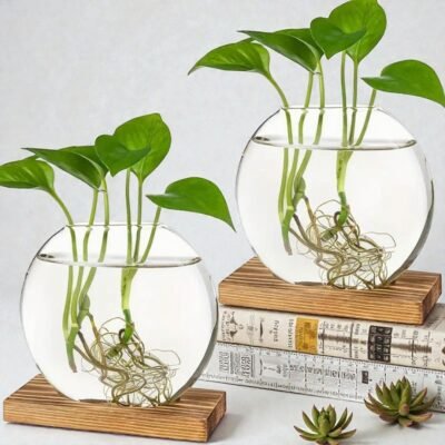 Duo de Vases "Biosphere" – Designer Hydroponic Planters