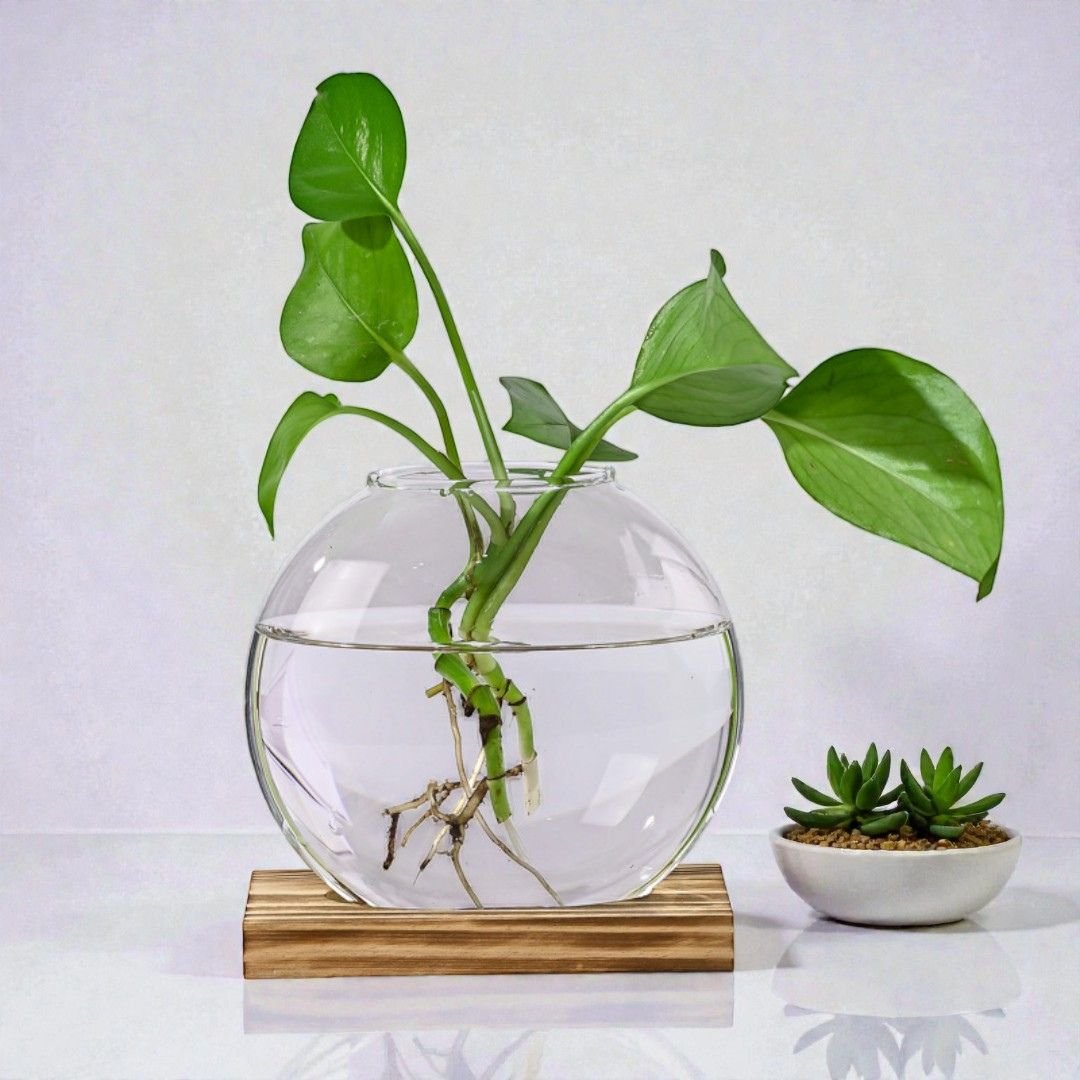 duo de vases biosph