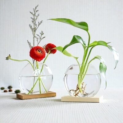 Duo de Vases "Biosphere" – Designer Hydroponic Planters