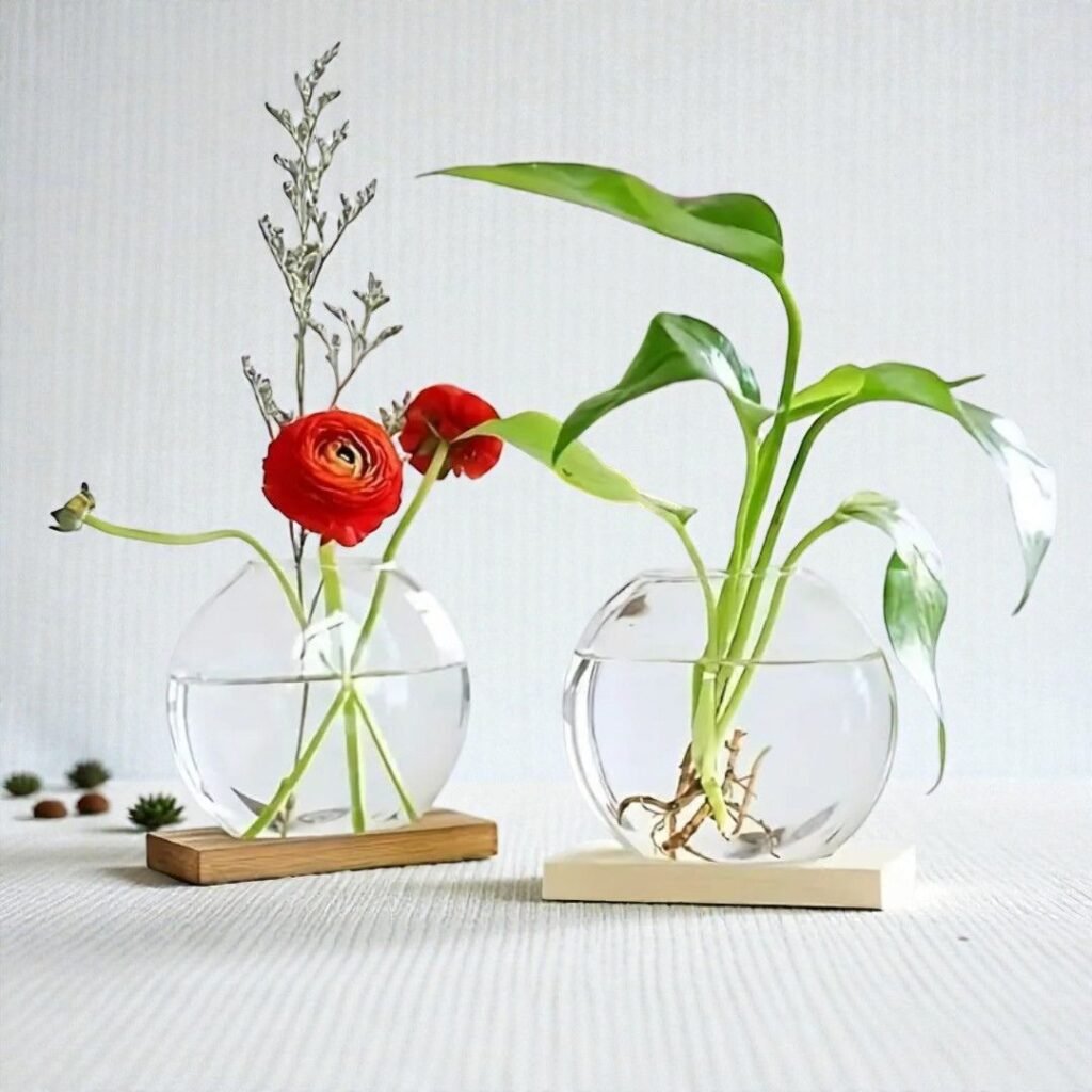 duo de vases biosph