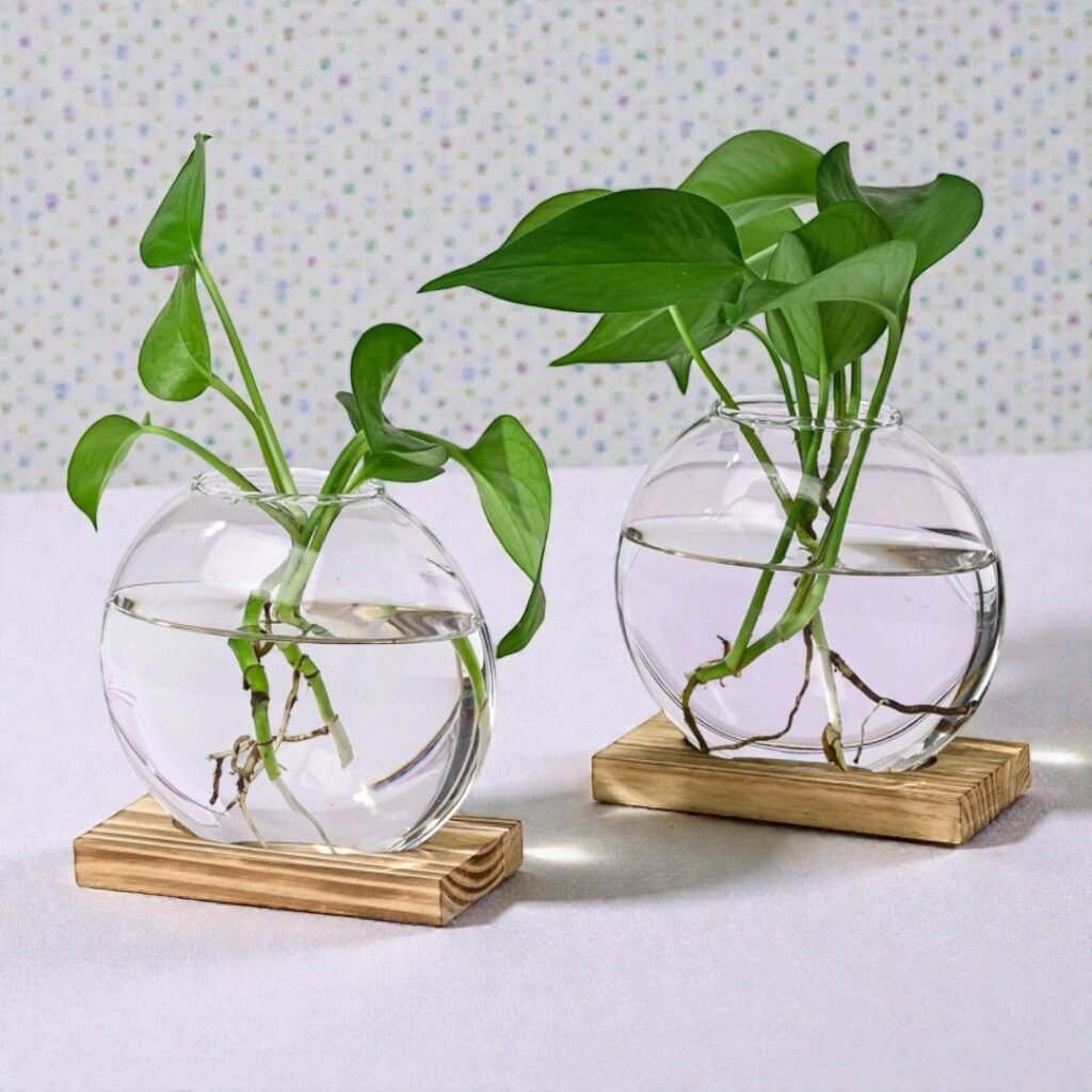 Biosphere Duo Hydroponic Vases, Designer Planters