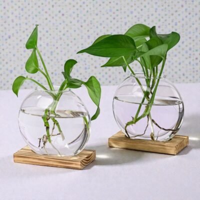 Duo de Vases "Biosphere" – Designer Hydroponic Planters