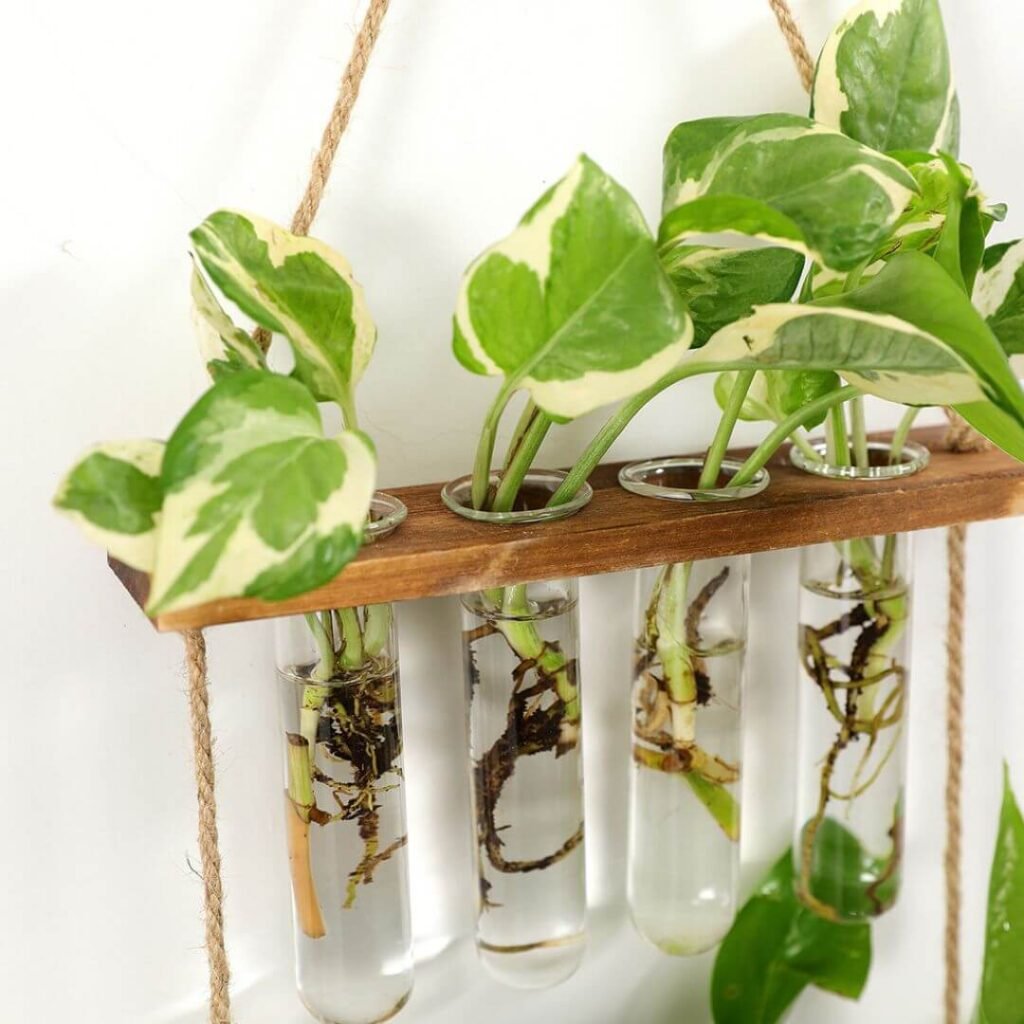 "Botanist" Indoor Hydroponic Wall Planter