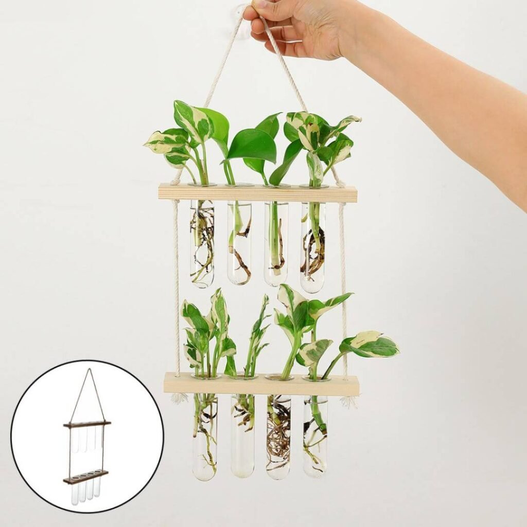 Wall Planter