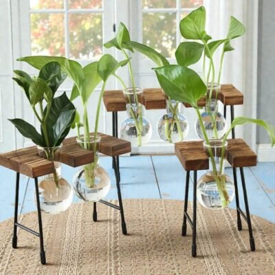 The Propagation Station – Vintage Hydroculture Vase (Set of 3)