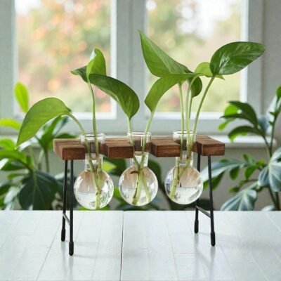 The Propagation Station – Vintage Hydroculture Vase (Set of 3)