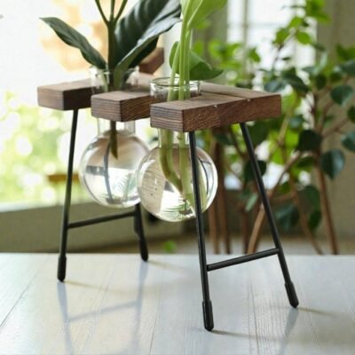 The Propagation Station – Vintage Hydroculture Vase (Set of 3)