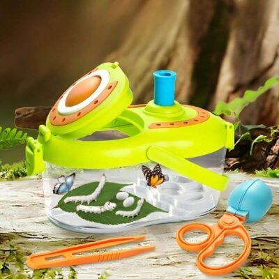 Insect Habitat & Observation Box