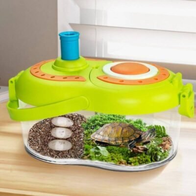 Insect Habitat & Observation Box