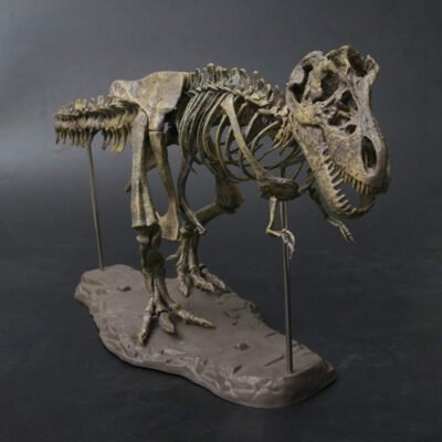 Build-Your-Own Dinosaur