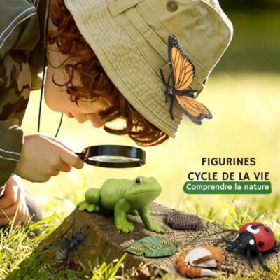 Life Cycle Figurines
