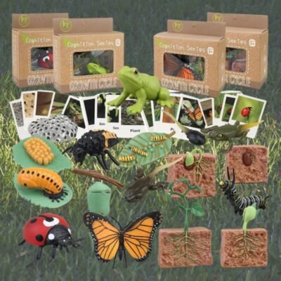 Life Cycle Figurines