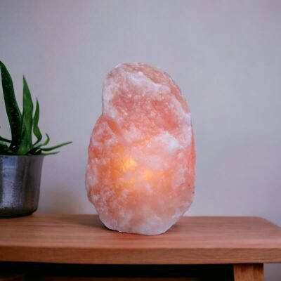 Large Himalayan Salt Lamp
