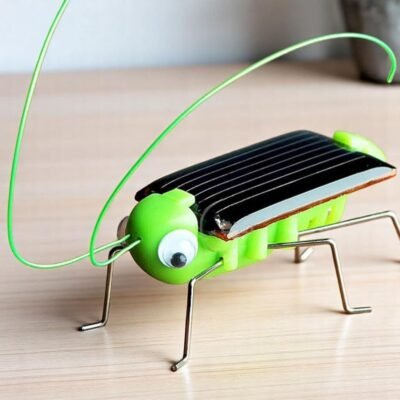 Solar Insect