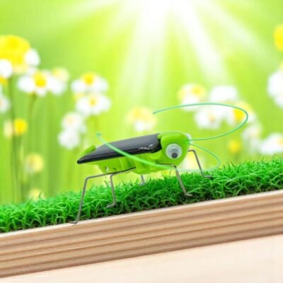 Solar Insect