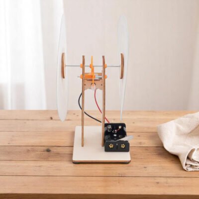 DIY Optical Illusion Game