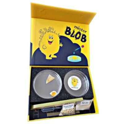 slime mold kit photo 4