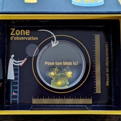 slime mold kit photo 3