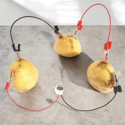 Potato Clock Experiment Kit