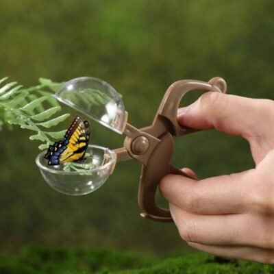 Insect Observation Kit