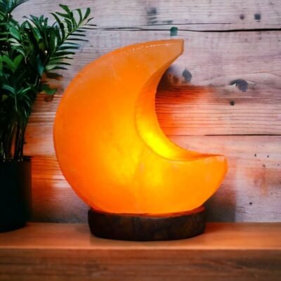 Original Moon-Shaped Salt Rock Lamp